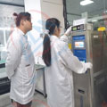 严格把控午夜精品一区二区三区在线视频精度图片